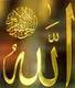   islam_egy